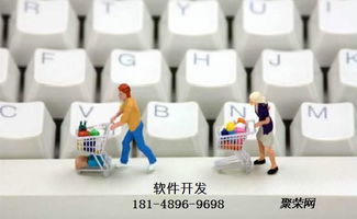 洋葱海外购商城OMALL模式软件定制