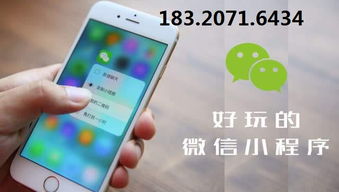 拓客小程序 为企业引流