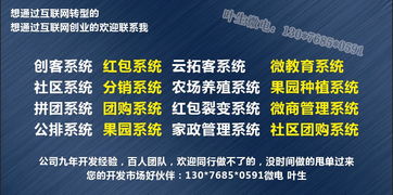 快猫猫系统商城开发猫宠怎么玩
