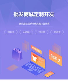 批发商城定制开发 批发商城网站制作 在线批发商城平台建设 江门析客