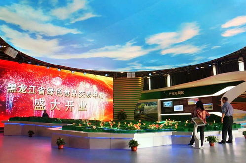 黑龙江 突出产业品牌 开放专业交易平台助力绿色食品产业发展