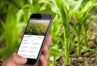 农业商城app定制开发一般有哪些功能