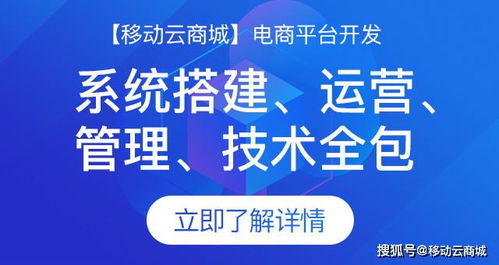 大型商城定制开发周期全解析