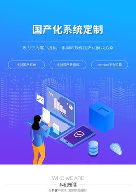 国产化系统定制企业政务OA办公ERP软件适配麒麟操作系统数据库 析客网络的商城系统开发