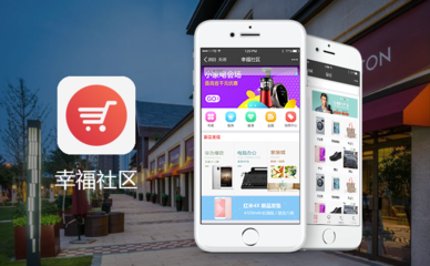 北京微梦创新科技发展有限公司交易评价记录解析